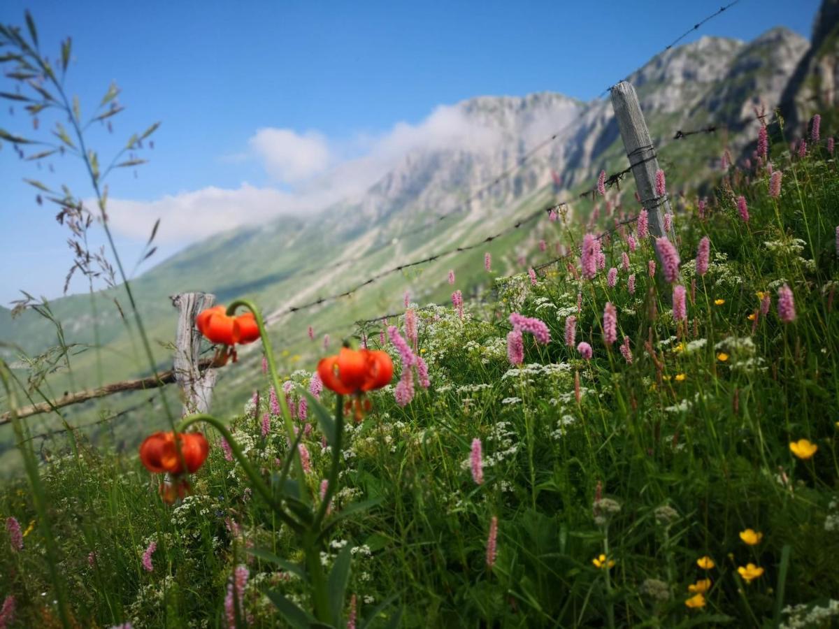 Mountain Lodge Forte Emilia โคบาริด ภายนอก รูปภาพ