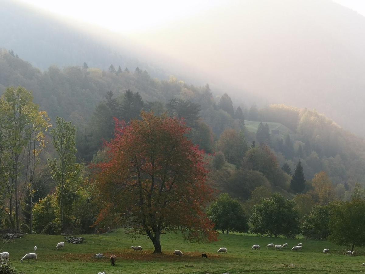 Mountain Lodge Forte Emilia โคบาริด ภายนอก รูปภาพ