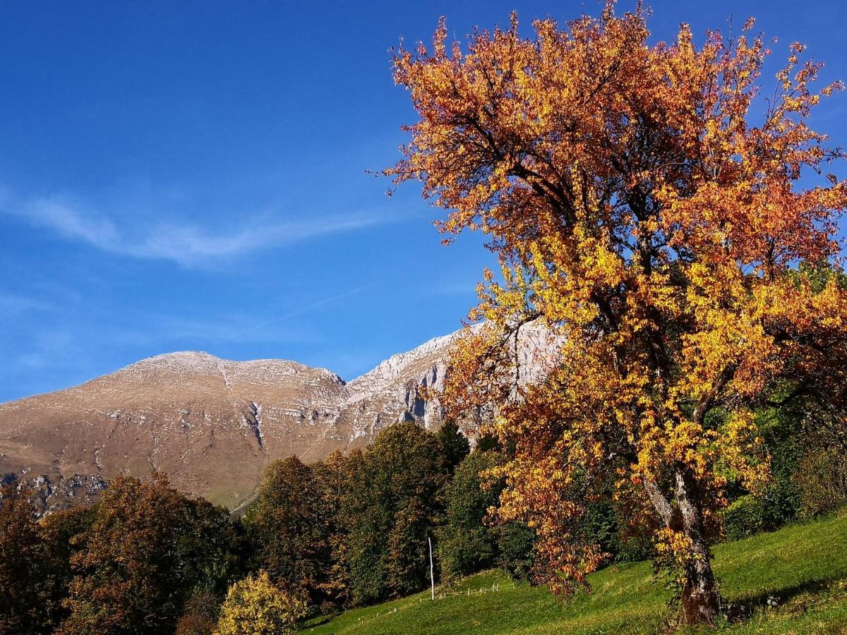 Mountain Lodge Forte Emilia โคบาริด ภายนอก รูปภาพ